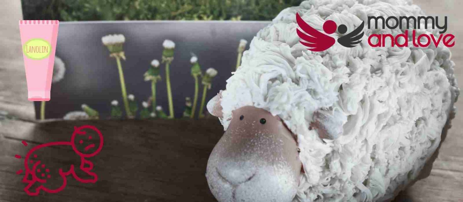 Lanolin for Diaper Rash What, How & Why? Mommy and Love