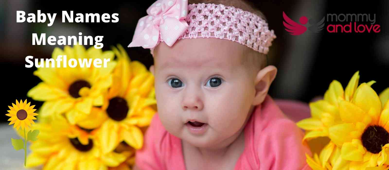 Baby Names Meaning Sunflower The Perfect Name For Your Little Flower 