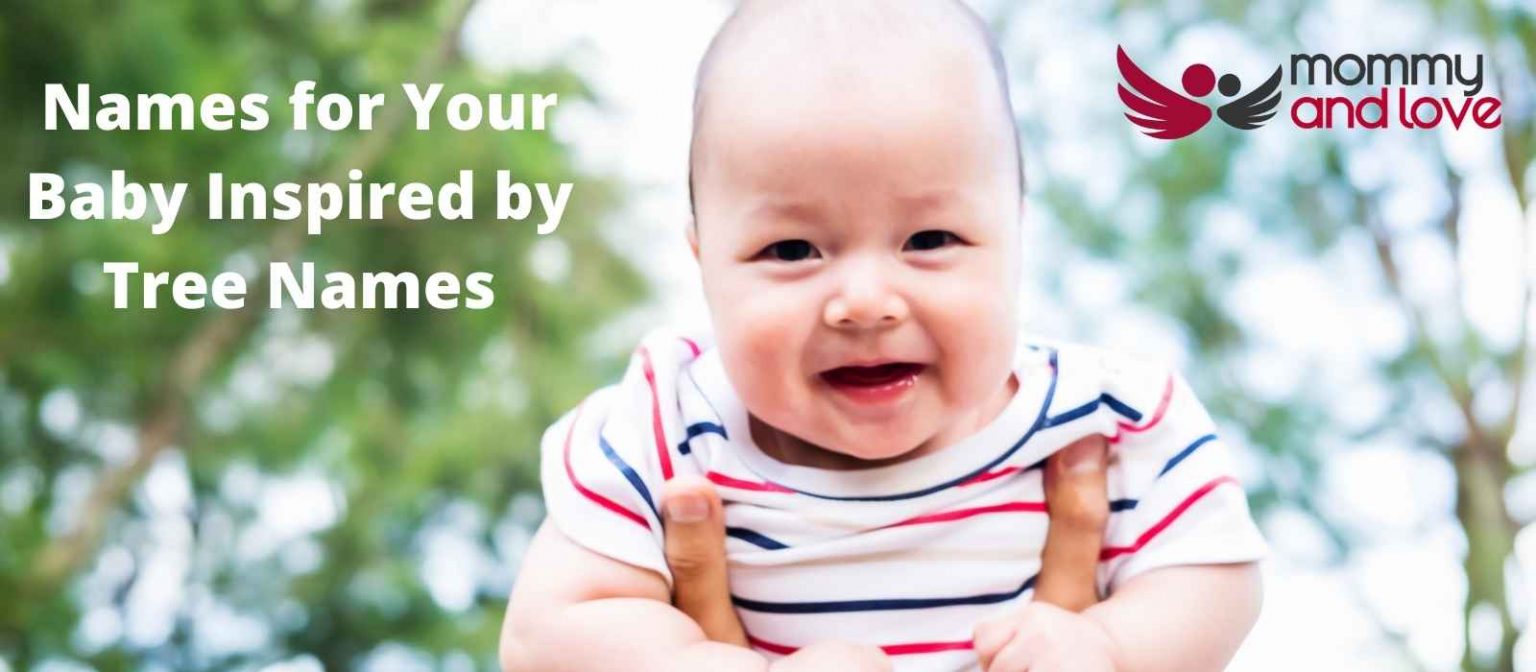 Unique Names for Your Baby Inspired by Tree Names Mommy and Love
