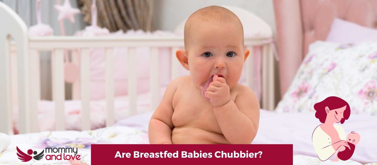 Are Breastfed Babies Chubbier (1)