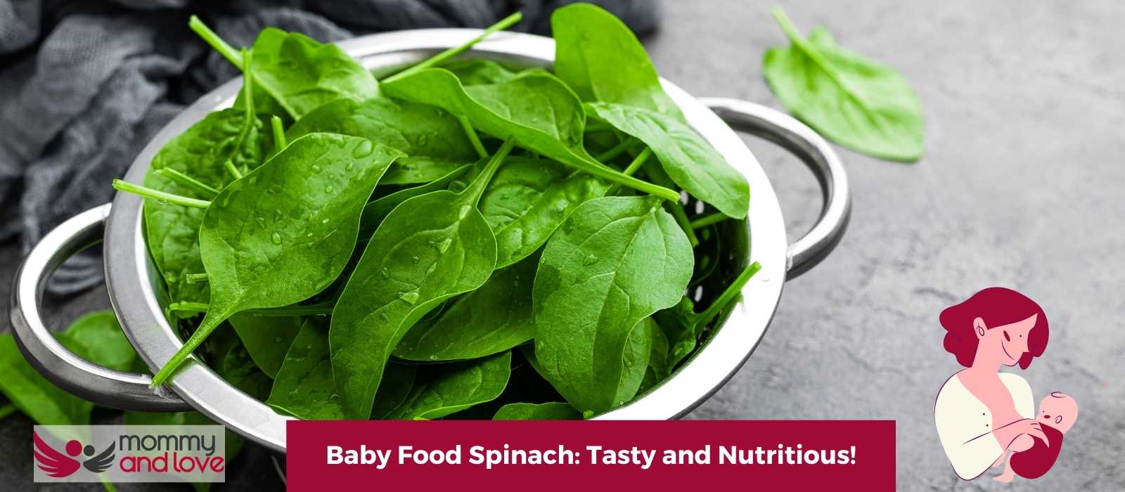 Baby Food Spinach: Tasty and Nutritious!