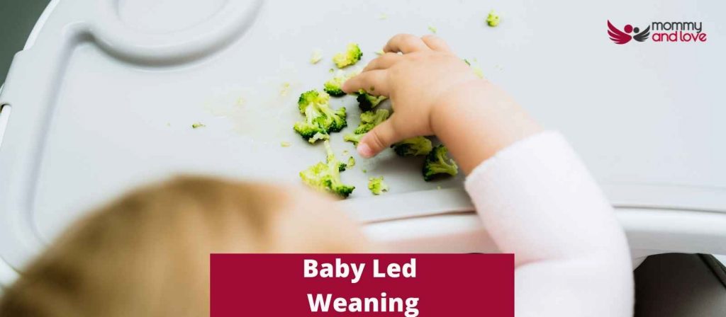 Baby Led Weaning