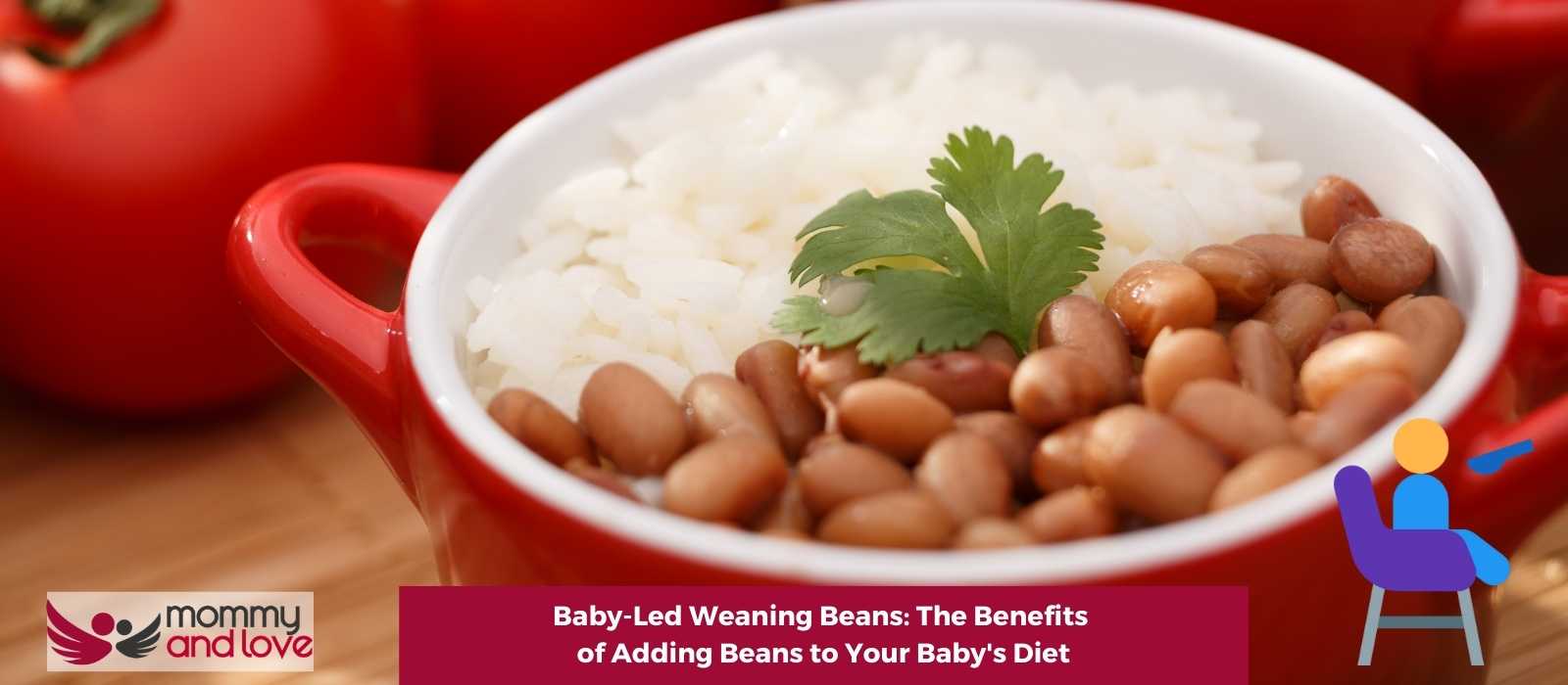 Baby-Led Weaning Beans The Benefits of Adding Beans to Your Baby's Diet