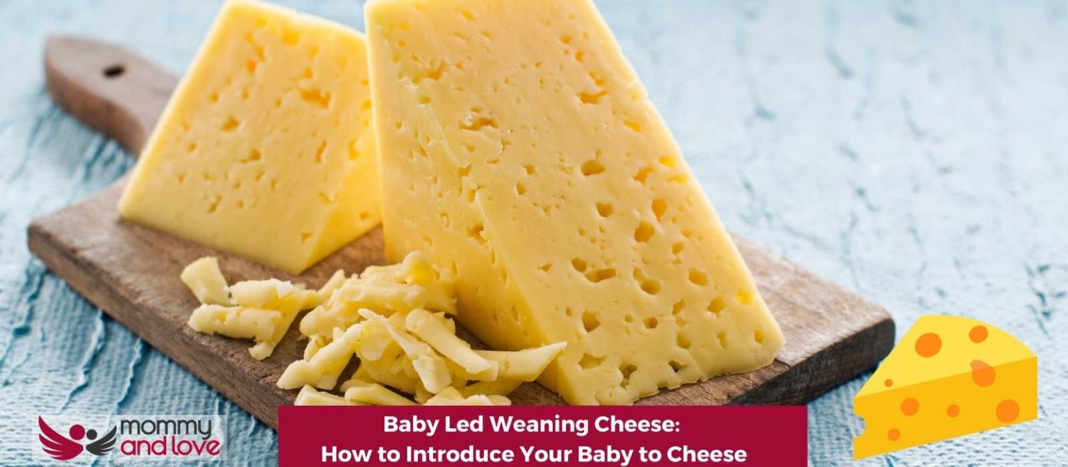 Baby Led Weaning Cheese How to Introduce Your Baby to Cheese Mommy