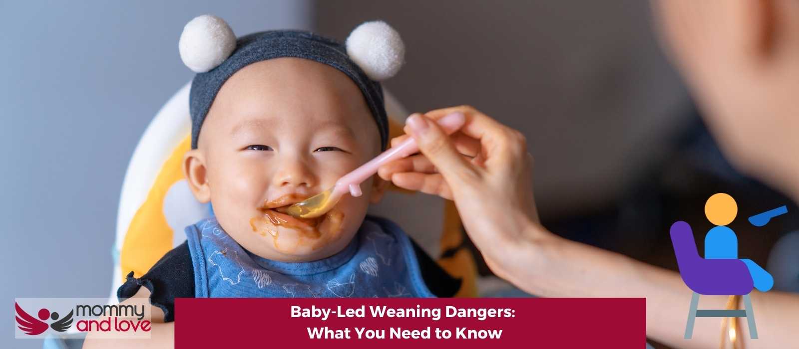 Baby-Led Weaning Dangers What You Need to Know