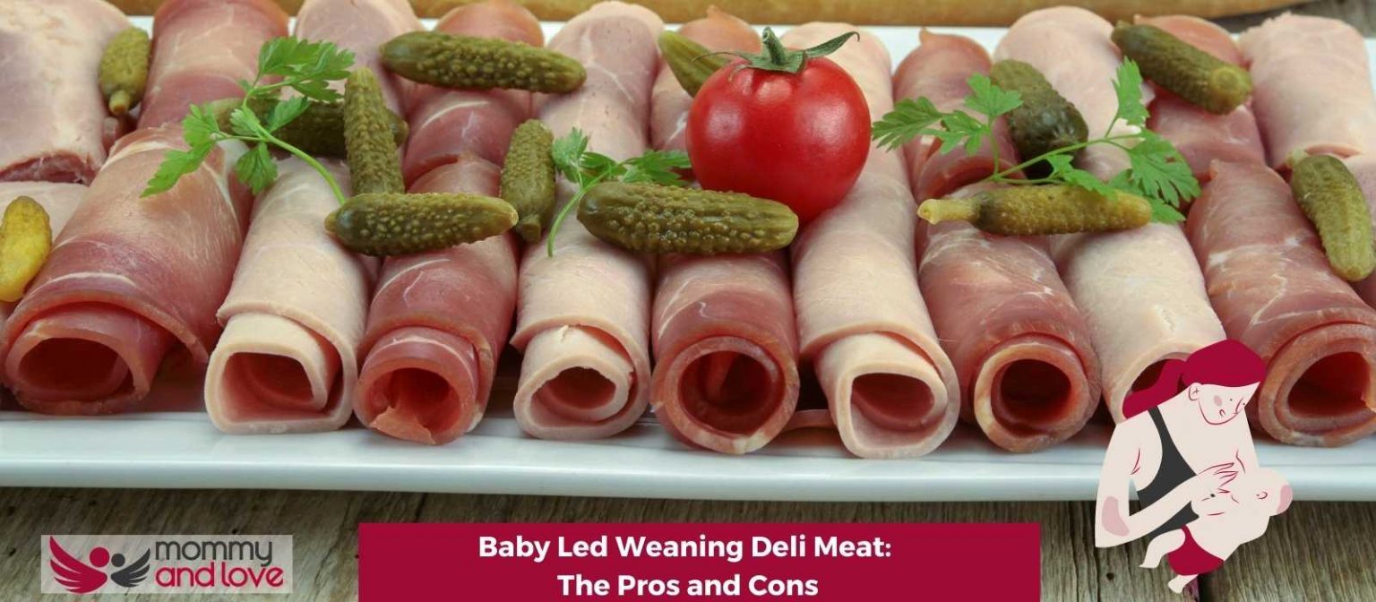 Baby Led Weaning Deli Meat The Pros and Cons Mommy and Love