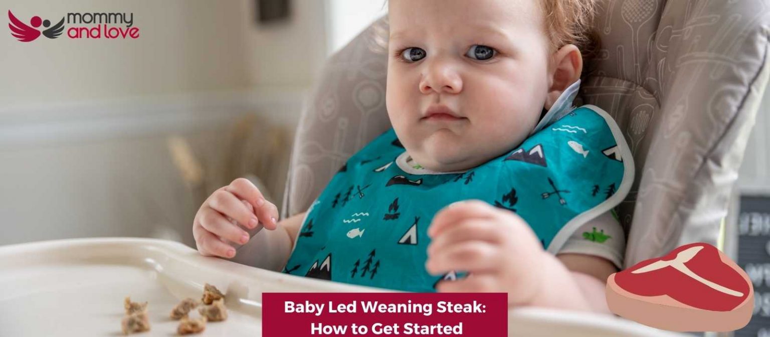 Baby Led Weaning Steak How to Get Started Mommy and Love