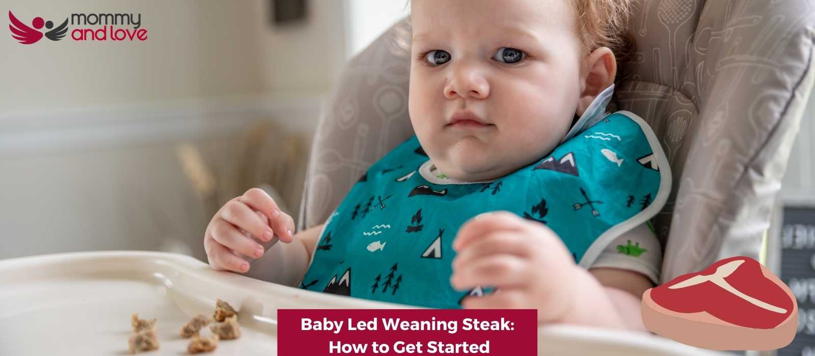 Baby Led Weaning Steak How to Get Started