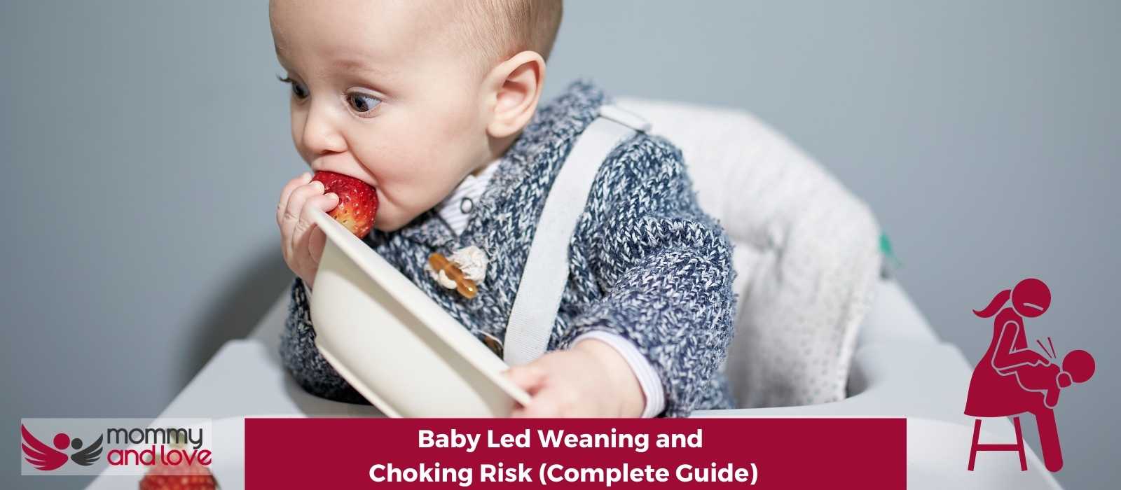 Baby Led Weaning and Choking Risk (Complete Guide)