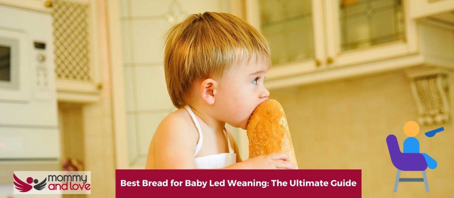 Best Bread for Baby Led Weaning The Ultimate Guide Mommy and Love