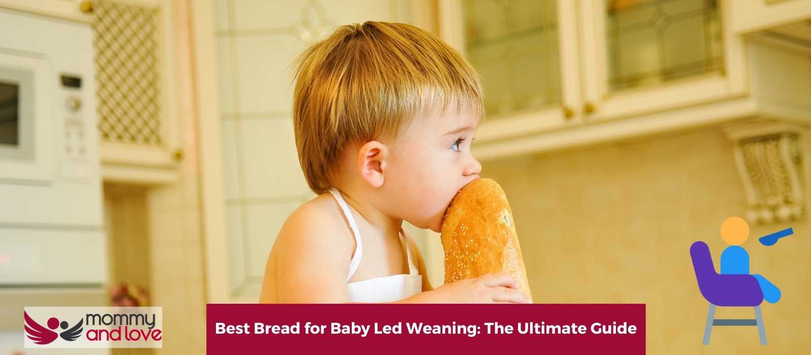 Best Bread for Baby Led Weaning: The Ultimate Guide