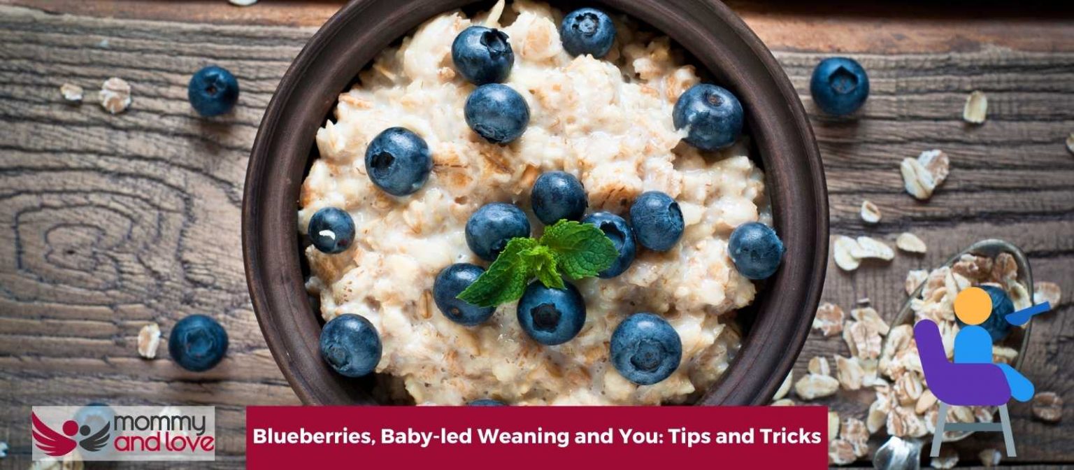 Blueberries, Babyled Weaning and You Tips and Tricks Mommy and Love