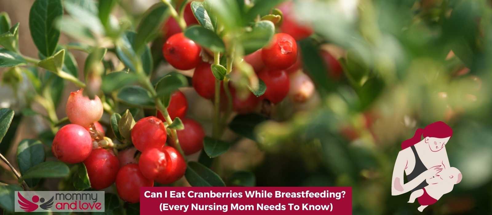 Can I Eat Cranberries While Breastfeeding (Every Nursing Mom Needs To Know)