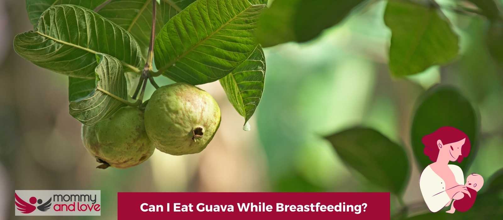Can I Eat Guava While Breastfeeding? - Raising Families Naturally