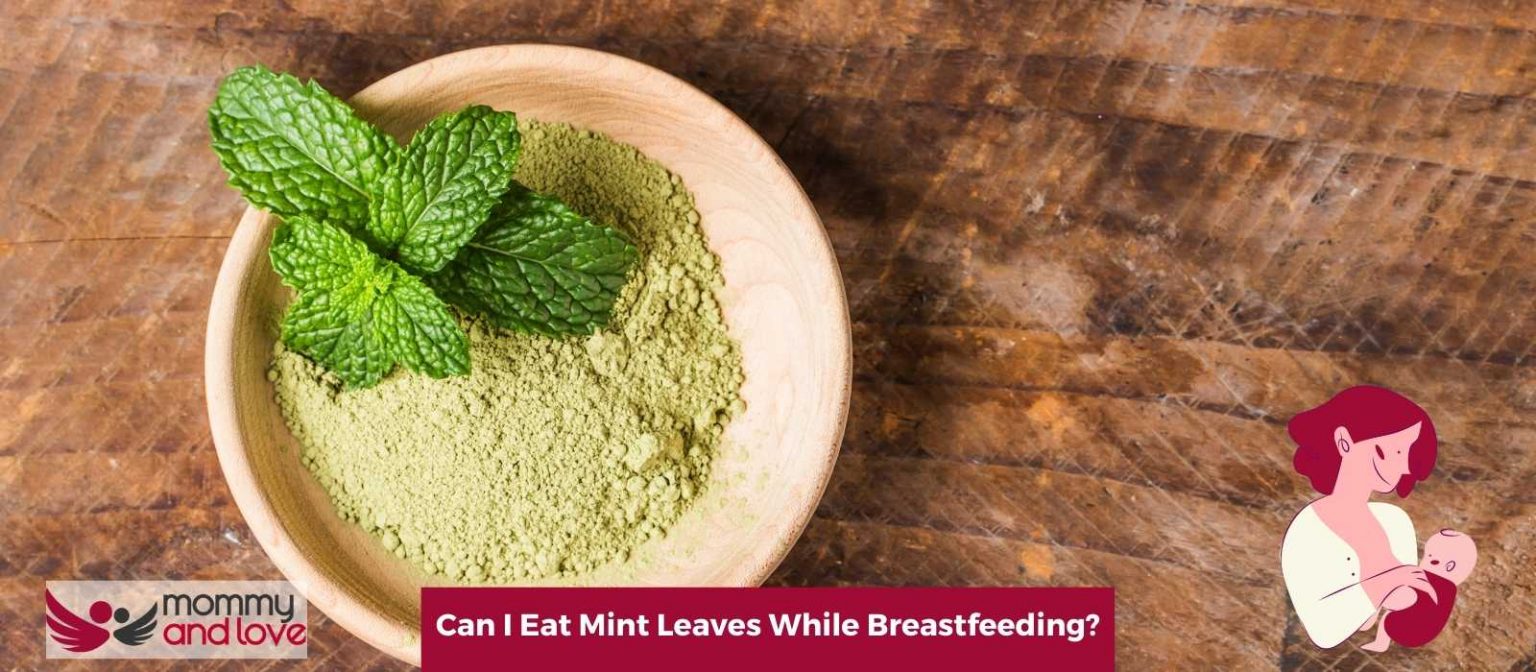 Can I Eat Mint Leaves While Breastfeeding? Mommy and Love