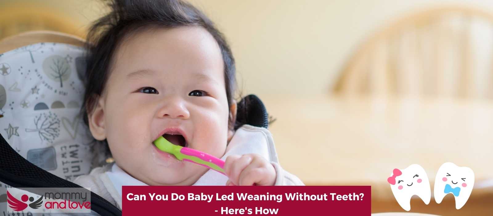 Can You Do Baby Led Weaning Without Teeth - Here's How