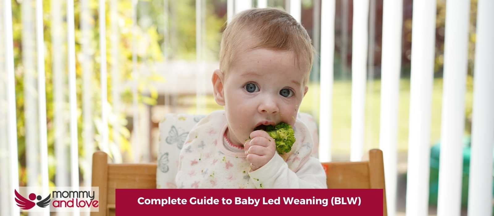 Complete Guide to Baby Led Weaning (BLW)