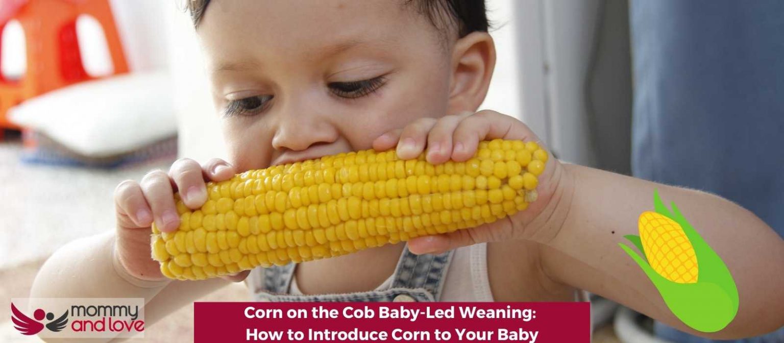Corn on the Cob BabyLed Weaning How to Introduce Corn to Your Baby
