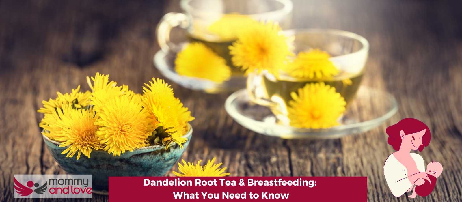 Dandelion Root Tea & Breastfeeding What You Need to Know