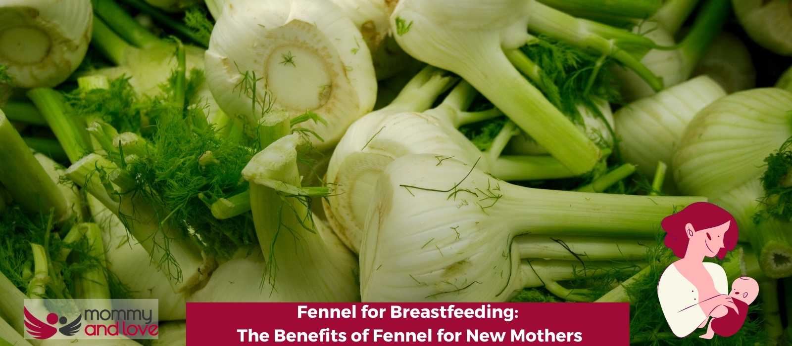Fennel for Breastfeeding: The Benefits of Fennel for New Mothers