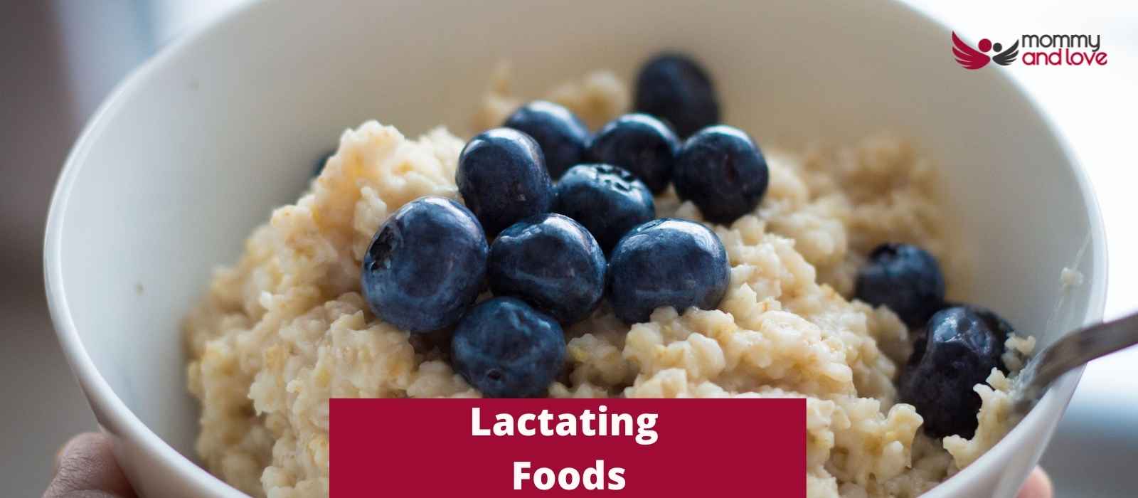 Lactating Foods