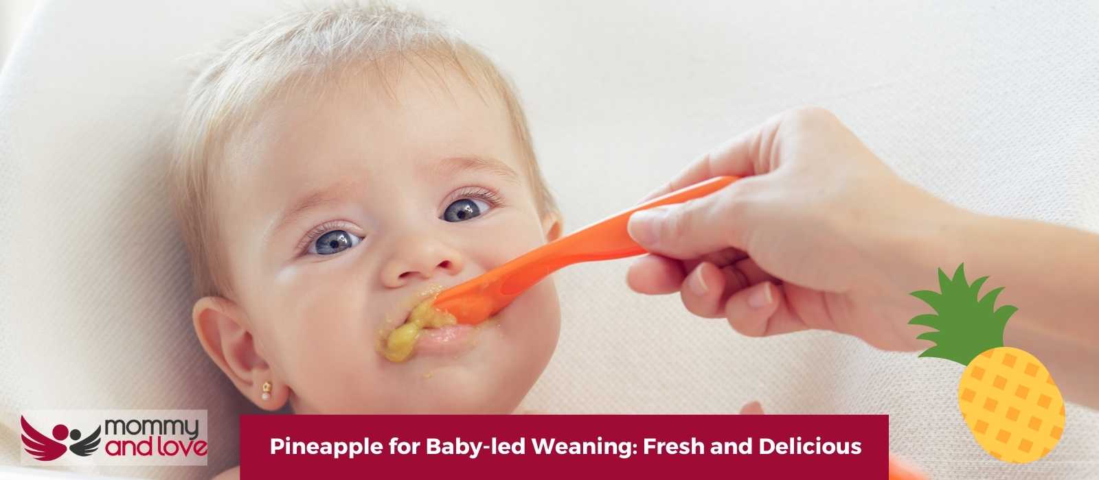 Pineapple for Baby-led Weaning Fresh and Delicious