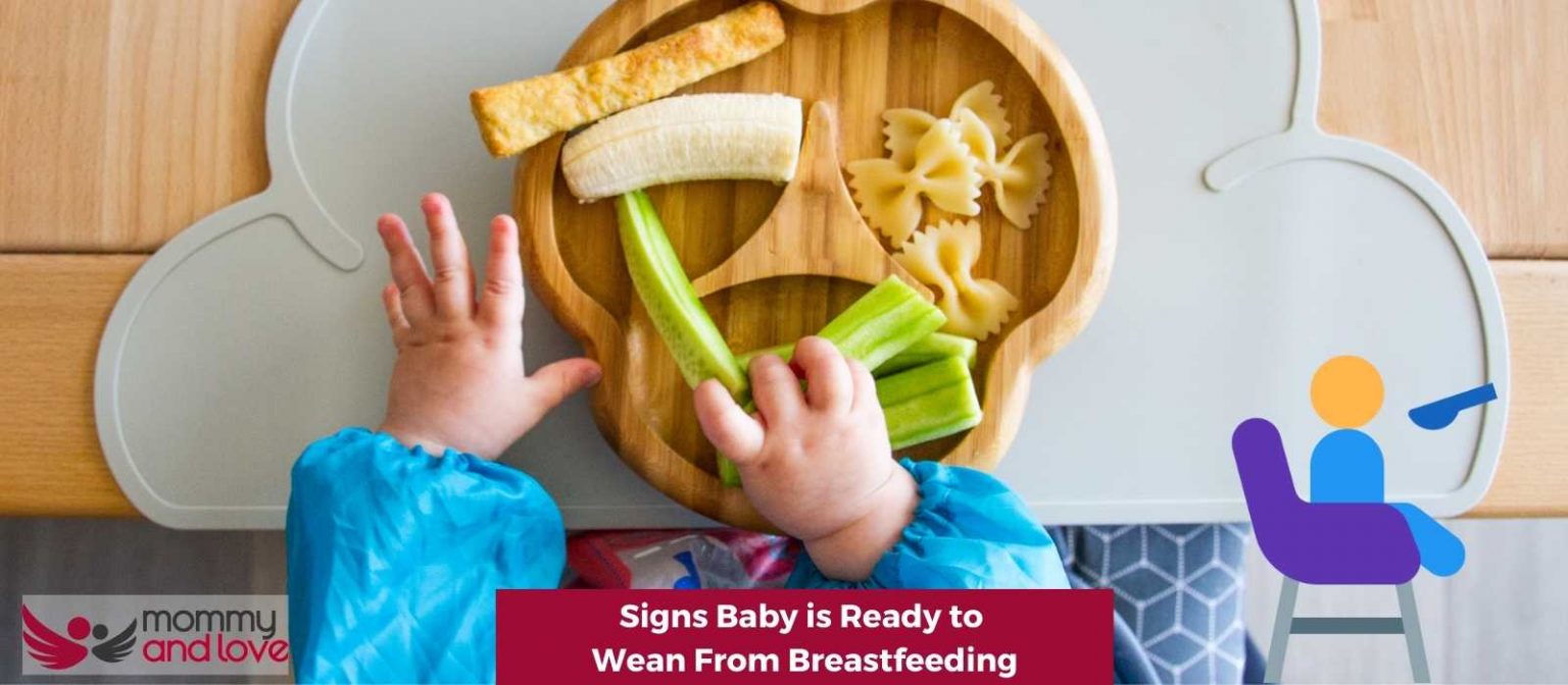Signs Baby is Ready to Wean From Breastfeeding Mommy and Love