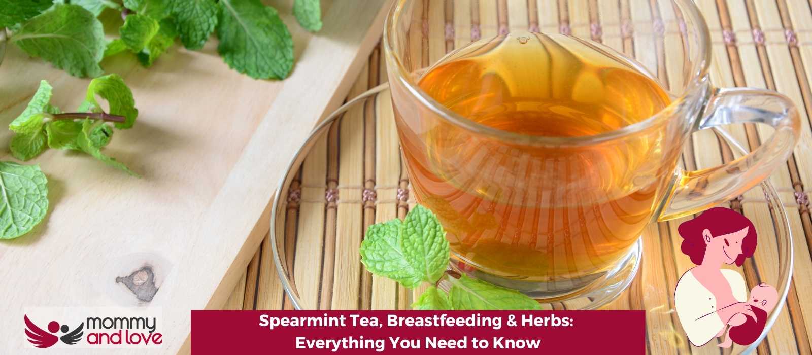 Spearmint Tea, Breastfeeding & Herbs: Everything You Need to Know