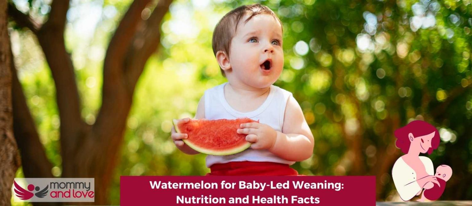 Watermelon for BabyLed Weaning Nutrition and Health Facts Mommy and