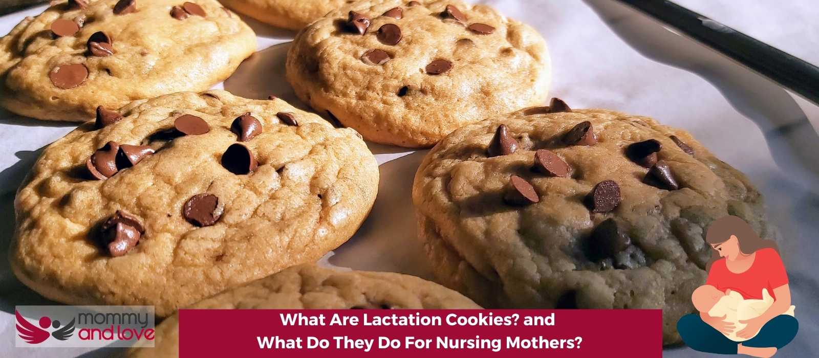 What Are Lactation Cookies and What Do They Do For Nursing Mothers